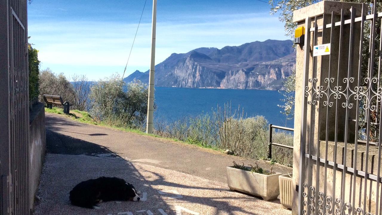 Villa Gaia Malcesine Eksteriør bilde